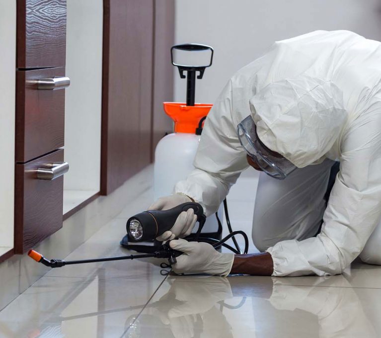 Residential-pest-control