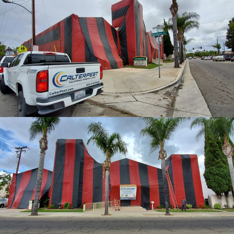 Local Church Fumigation Treatment